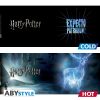 Kubek zmieniający kolor 460 ml Harry Potter - Patronus