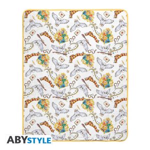 harry potter blanket harry s world (1)