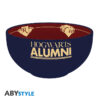 harry potter bowl 600 ml hogwarts alumni cardboard box x2 79