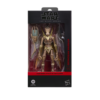 Figurka Star Wars Black Series Geonosian warrior 15 cm Hasbro