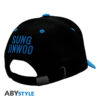 solo leveling cap blue black jinwoo x2
